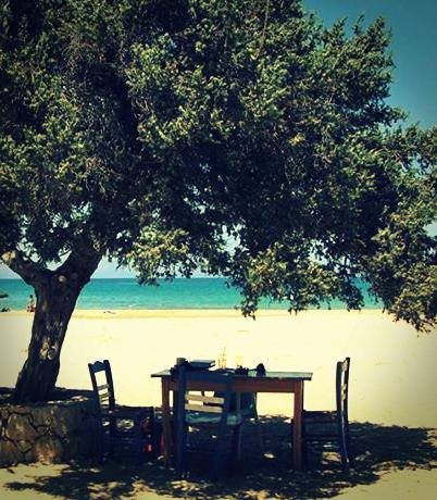 941257_584641054890465_1949088584_n