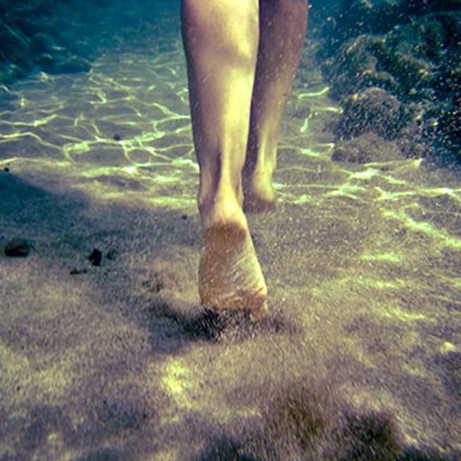 10857822_10204902618461094_5861902622331798959_n