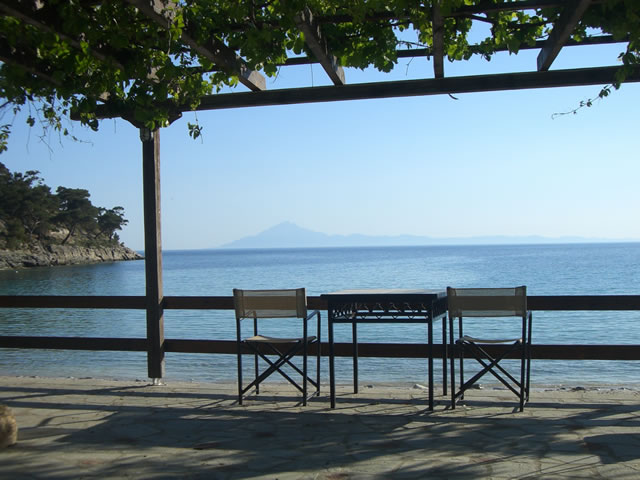 20882_1434884323474820_6221492328981233343_n