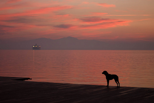 21491068984_db4b5bbfcd